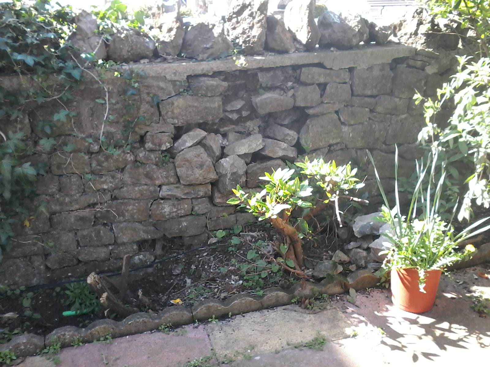 Clevedon: weakened stone wall