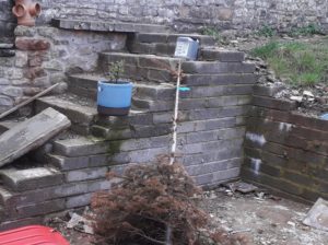 Chew Magna: steps' carcass..