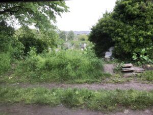 Bath : remnants of old wall